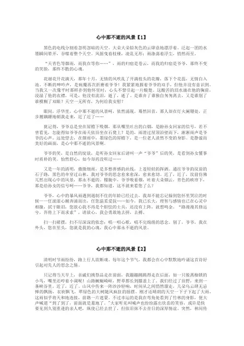 心中那不逝的风景作文
