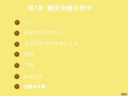 单糖的结构和性质PPT优秀资料