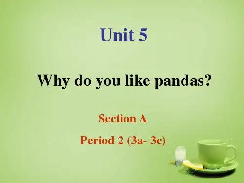 新人教PEP英语七年级下册课件— Unit 5 Why do you like pandas Section A 2课件