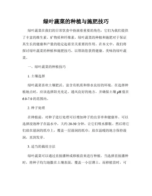 绿叶蔬菜的种植与施肥技巧