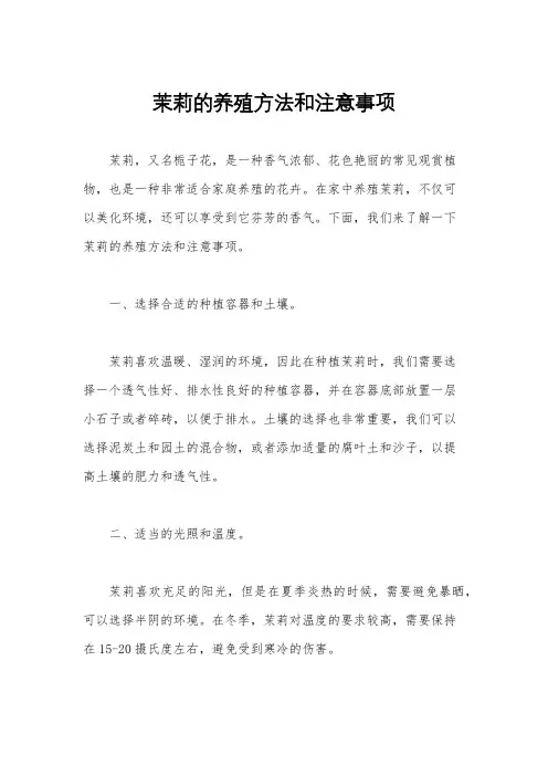 茉莉的养殖方法和注意事项