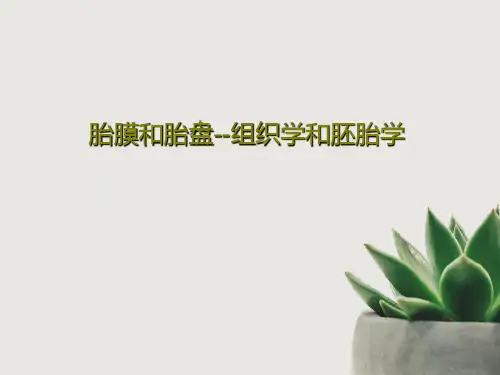 胎膜和胎盘--组织学和胚胎学PPT文档42页