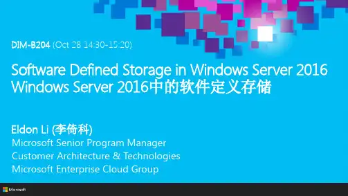 Windows Server 2016中的软件定义存储（SDS）说明书