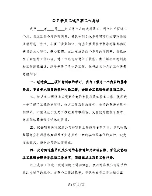 公司新员工试用期工作总结（4篇）