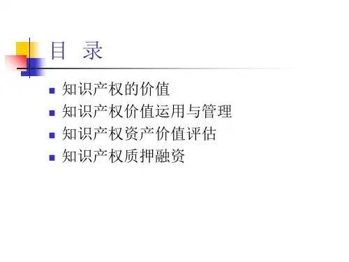 知识产权价值的评估与质押融资培训课程(PPT 104页)