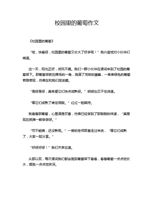 校园里的葡萄作文