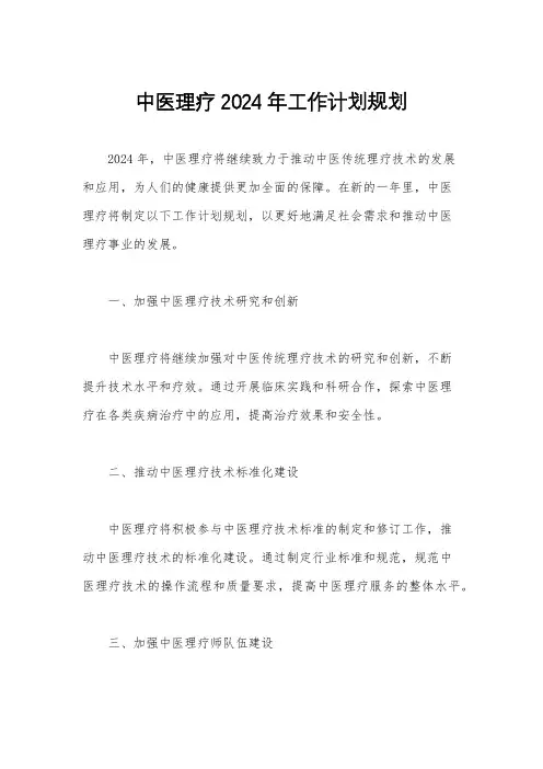 中医理疗2024年工作计划规划