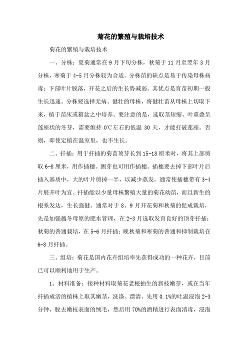 菊花的繁殖与栽培技术