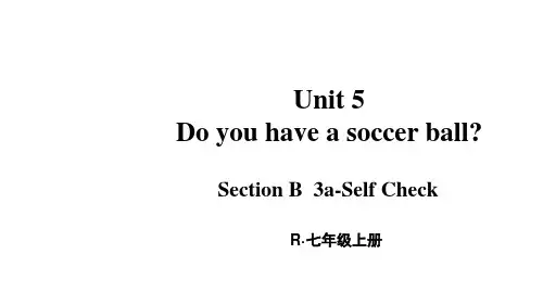 人教版七年级英语上册Unit 5第5课时(Section B 3a-Self Check)