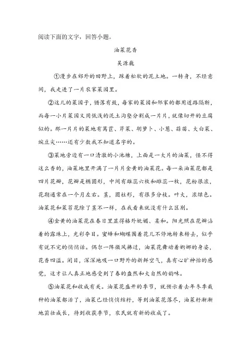 《油菜花香》阅读练习及答案