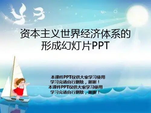 资本主义世界经济体系的形成幻灯片PPT
