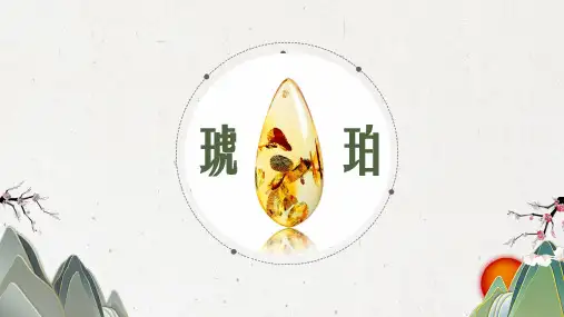 《琥珀》PPT课件