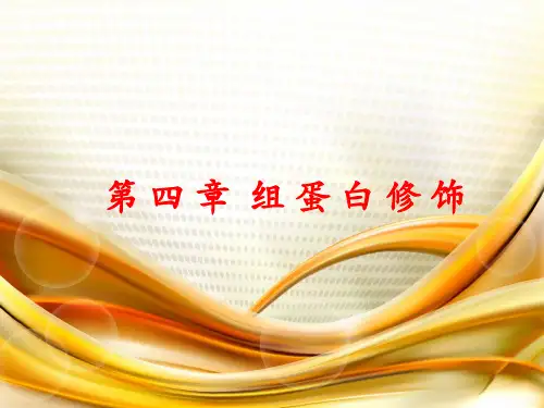 组蛋白修饰