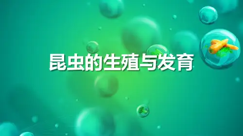 《昆虫的生殖与发育》PPT优秀课件