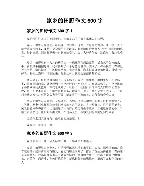 家乡的田野作文600字