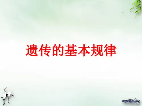 【高考】生物复习遗传的基本规律ppt课件