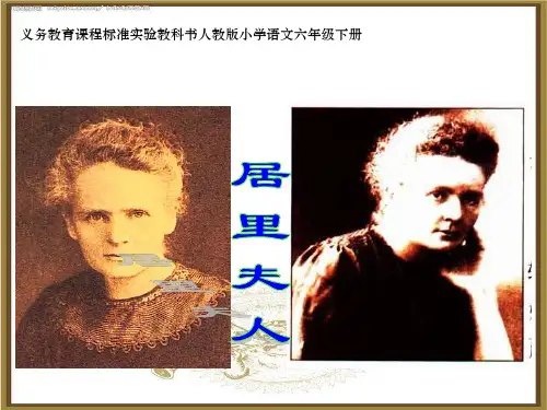 《跨越百年的美丽》课件(完美版)