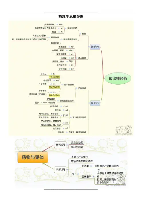 药理学思维导图(非常好的资源-可打印版)