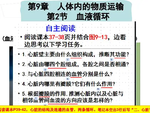 北师大版七年级生物下册课件 4.9.2血液循环(第2课时) (共44张PPT)
