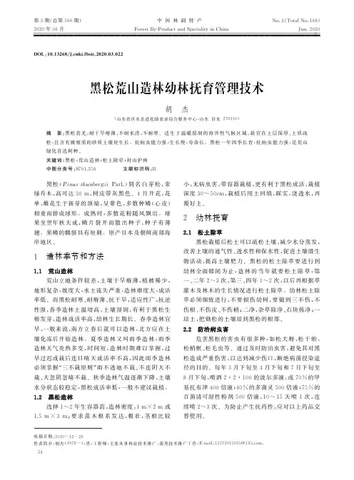 黑松荒山造林幼林抚育管理技术