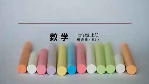 人教版七年级数学上册第二章整式的加减复习课件