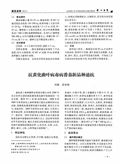 抗黄化曲叶病毒病番茄新品种迪抗