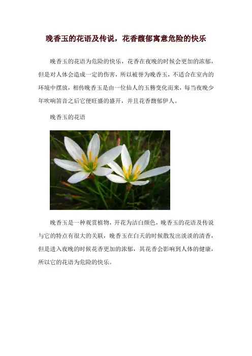 晚香玉的花语及传说,花香馥郁寓意危险的快乐