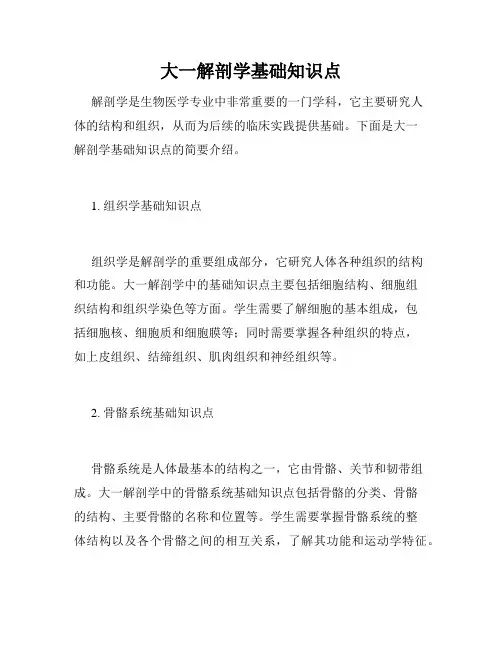 大一解剖学基础知识点