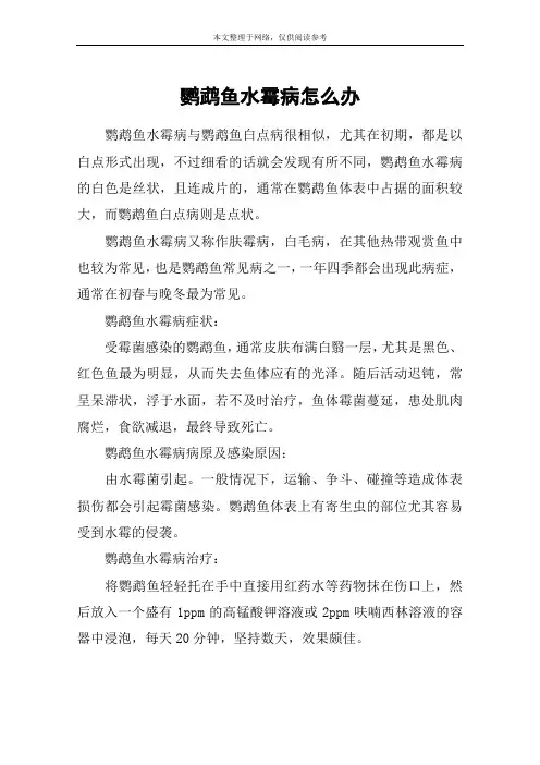 鹦鹉鱼水霉病怎么办