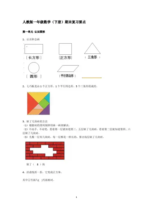 人教版一年级数学(下册)期末复习要点 2