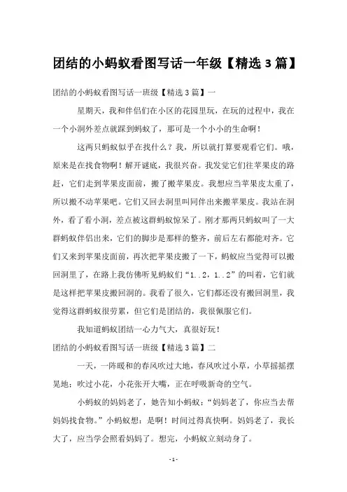 团结的小蚂蚁看图写话一年级【3篇】