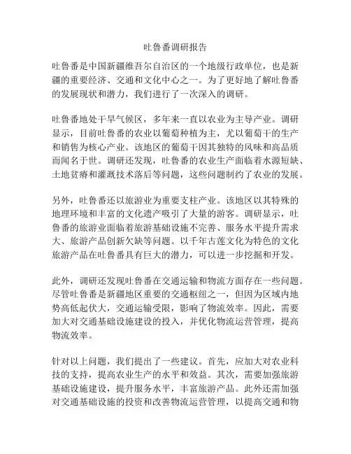 吐鲁番调研报告