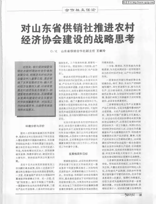 对山东省供销社推进农村经济协会建设的战略思考
