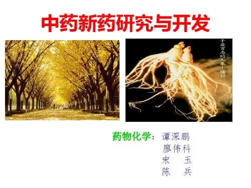 中药新药研究与开发