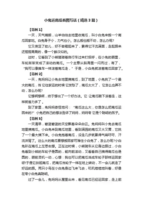 小兔运南瓜看图写话（精选3篇）