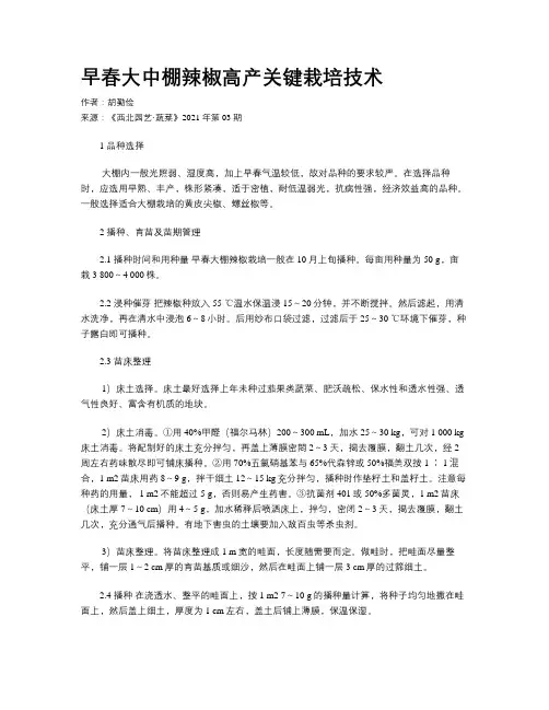 早春大中棚辣椒高产关键栽培技术