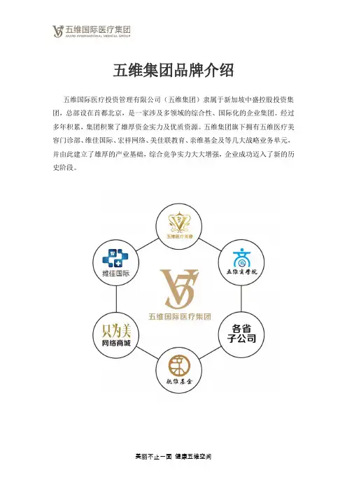五维集团介绍