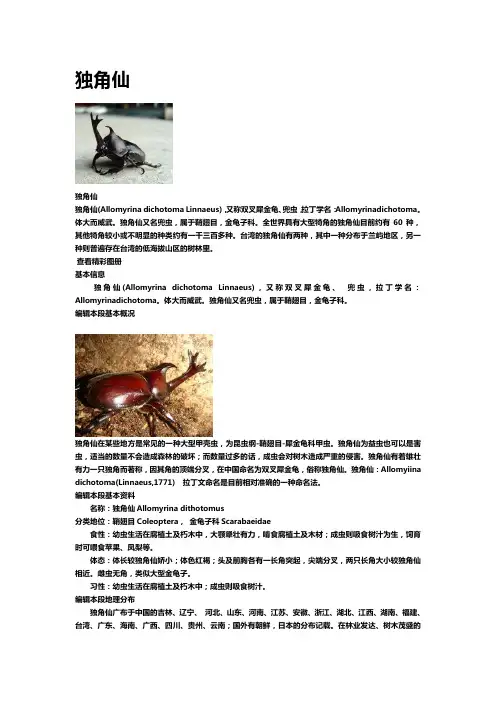 独角仙