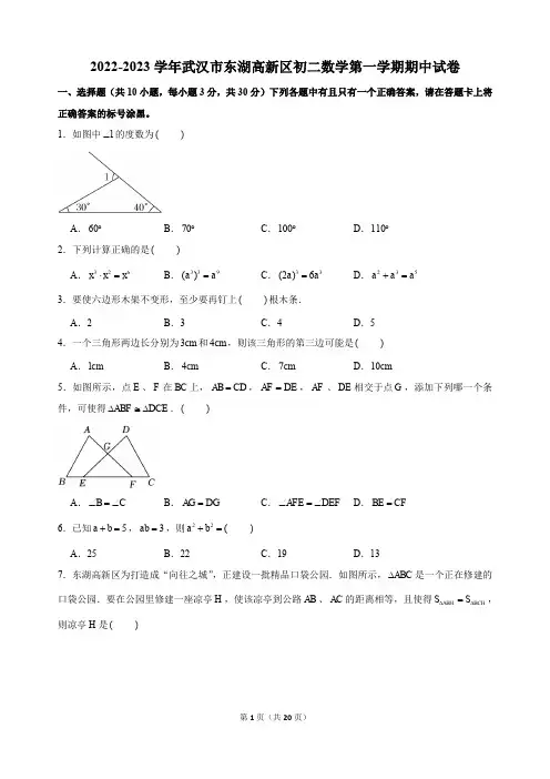 2022-2023学年湖北省武汉市东湖高新区八年级第一学期期中数学试卷