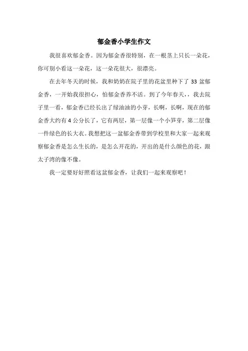 《郁金香小学生作文》小学作文