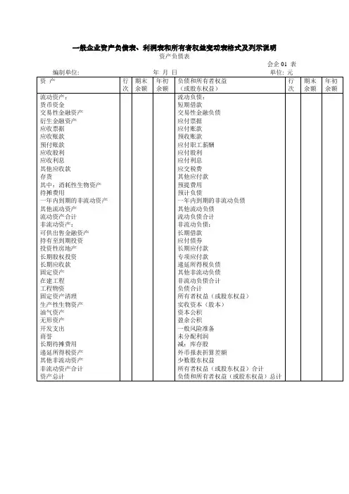 财务报表示例以及说明