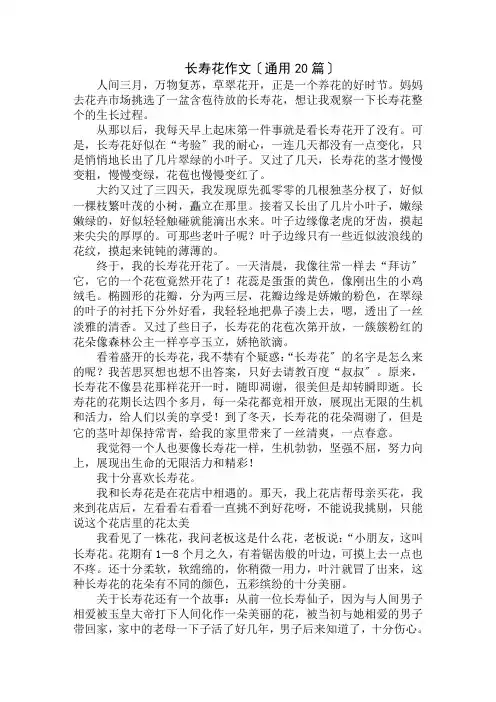 中小学精选长寿花作文(通用20篇)