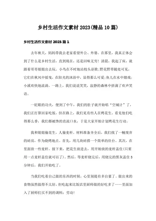 乡村生活作文素材2023(精品10篇)