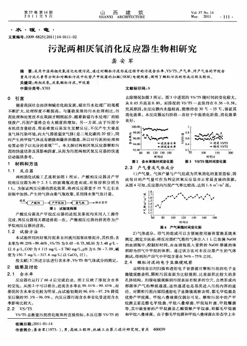 污泥两相厌氧消化反应器生物相研究