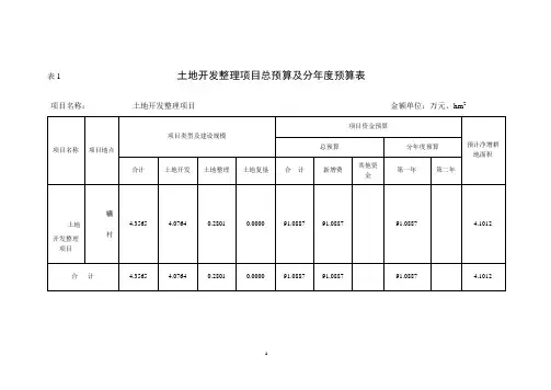 土地开发整理预算表