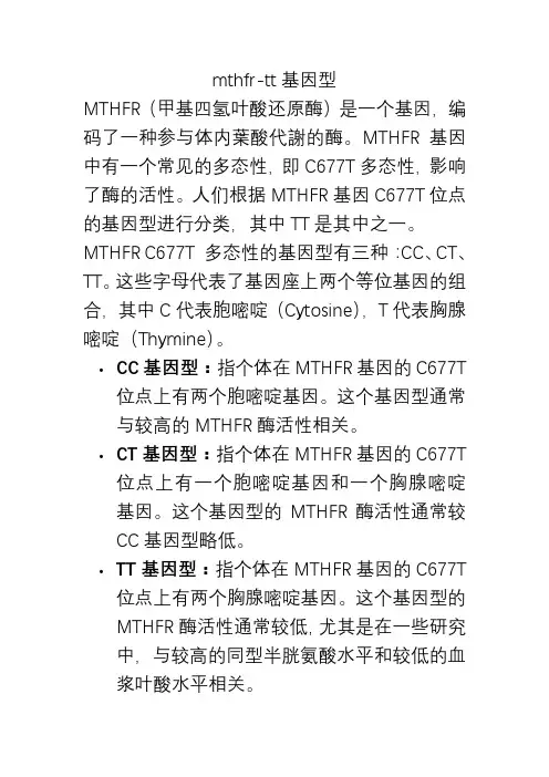 mthfr-tt基因型