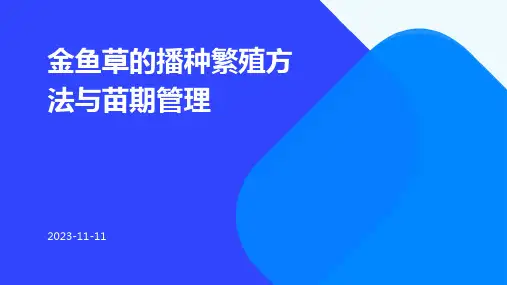 金鱼草的播种繁殖方法与苗期管理