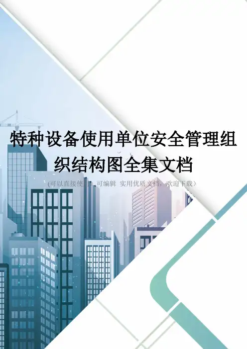 特种设备使用单位安全管理组织结构图全集文档