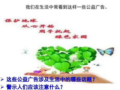人教版道德和法治九年级上册 6.1 正视发展挑战 课件(共49张PPT )