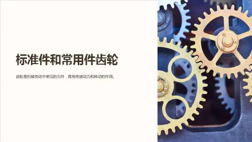标准件和常用件齿轮